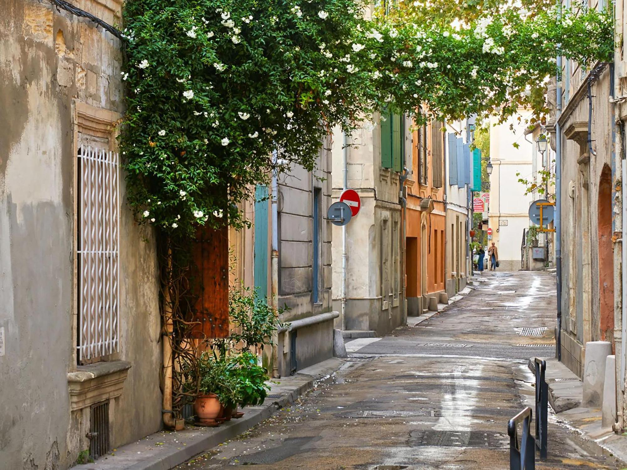 Hebergements Modernes & Cosy A Arles T3 Et T2 Elegants Bagian luar foto